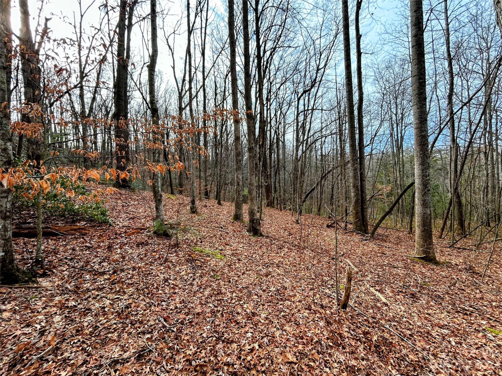 Lot 8 Azalea Way Saluda NC 28773