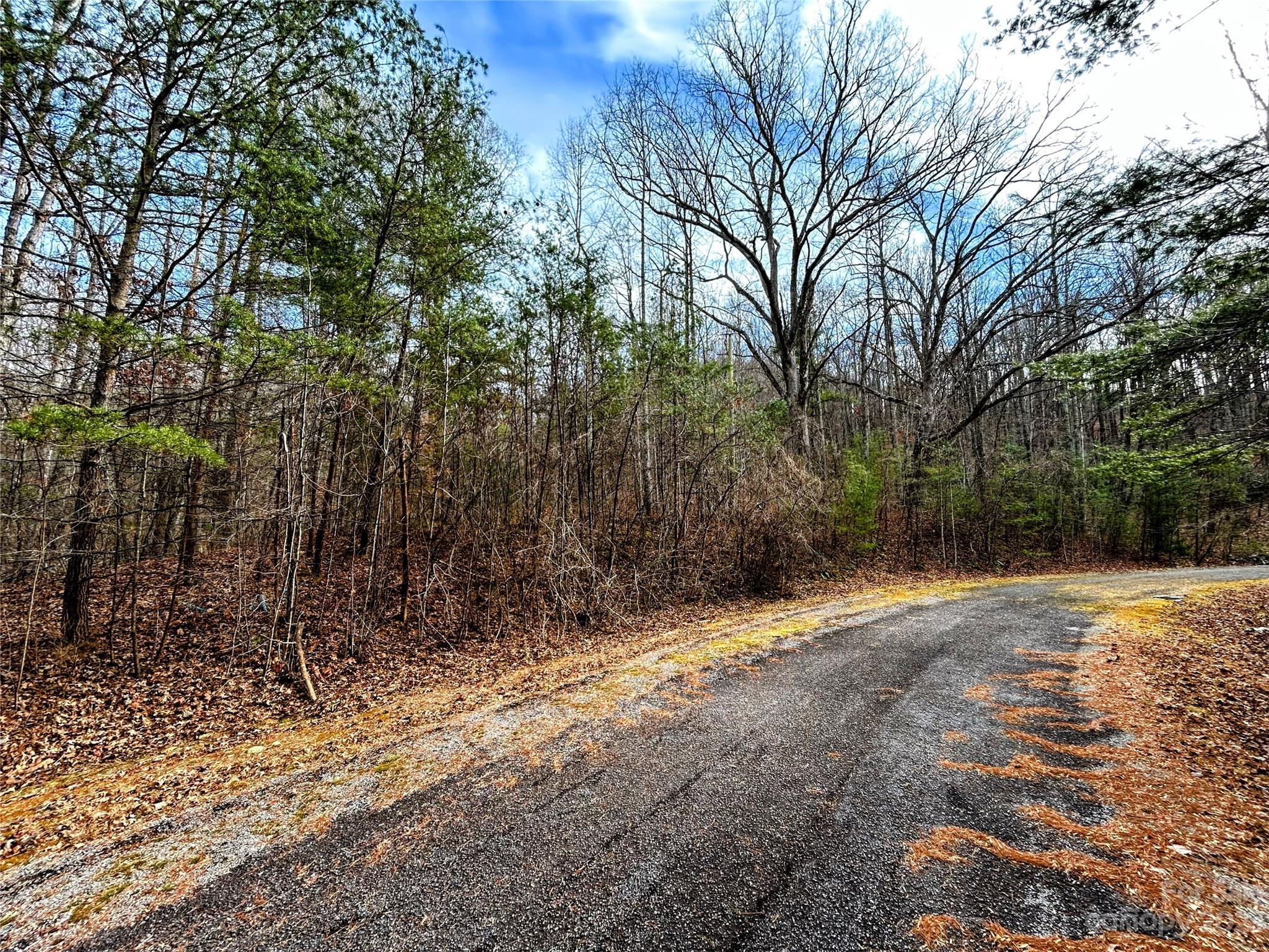 Lot 8 Azalea Way Saluda NC 28773