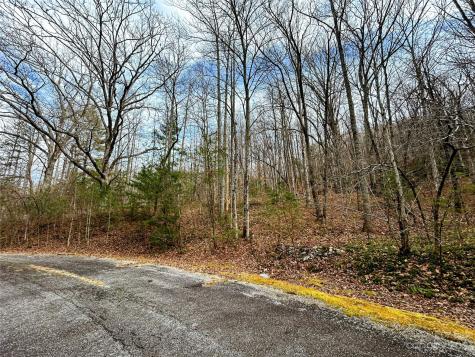 Lot 8 Azalea Way Saluda NC 28773