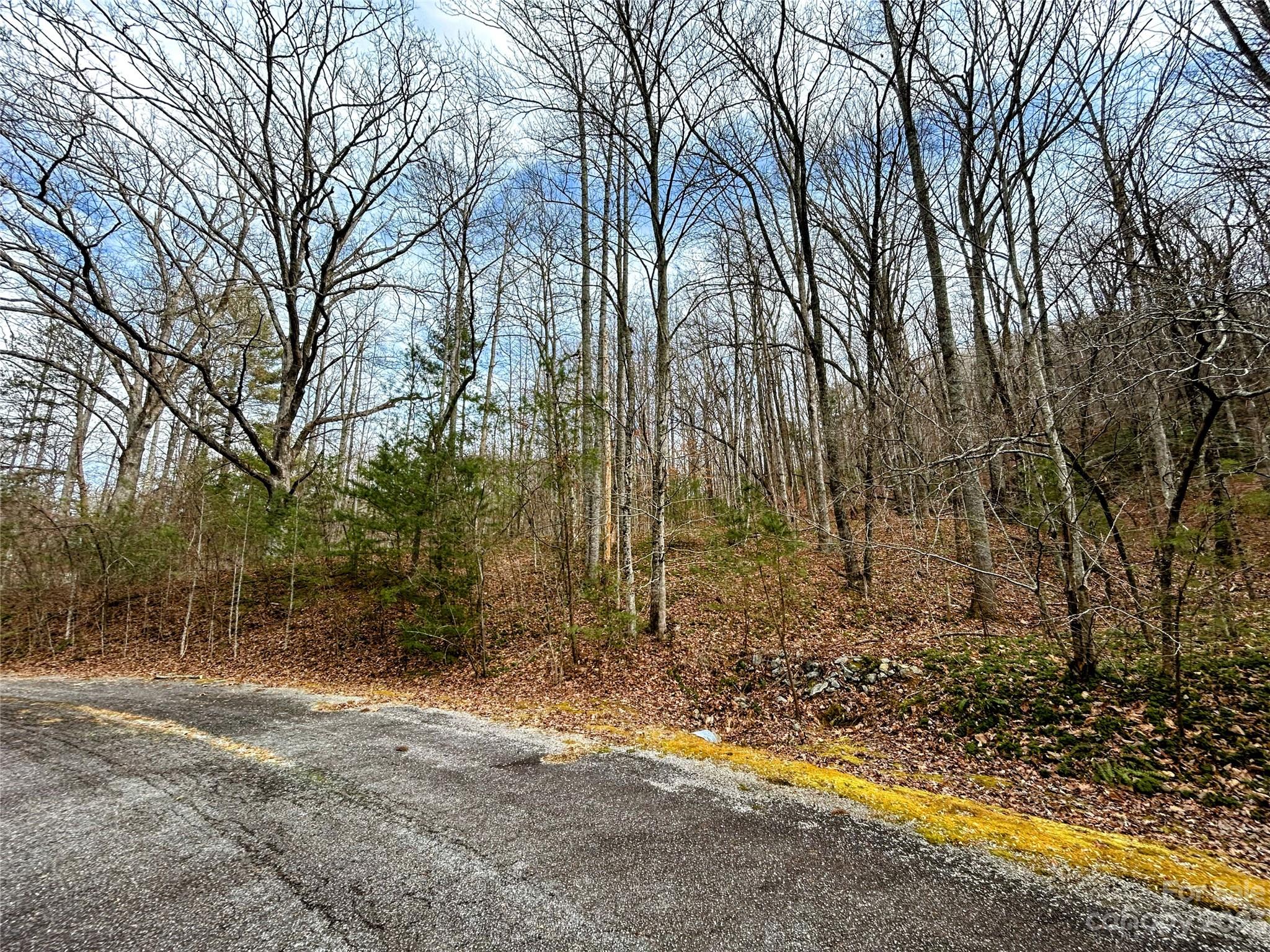 Lot 8 Azalea Way Saluda NC 28773