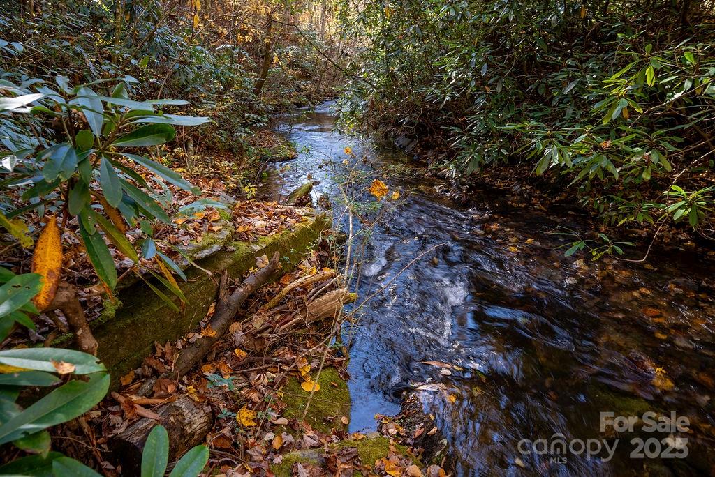 3761 Frozen Creek Road Brevard NC 28712