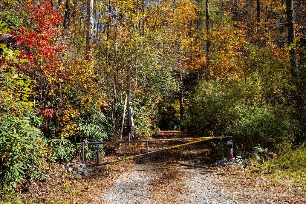 3761 Frozen Creek Road Brevard NC 28712