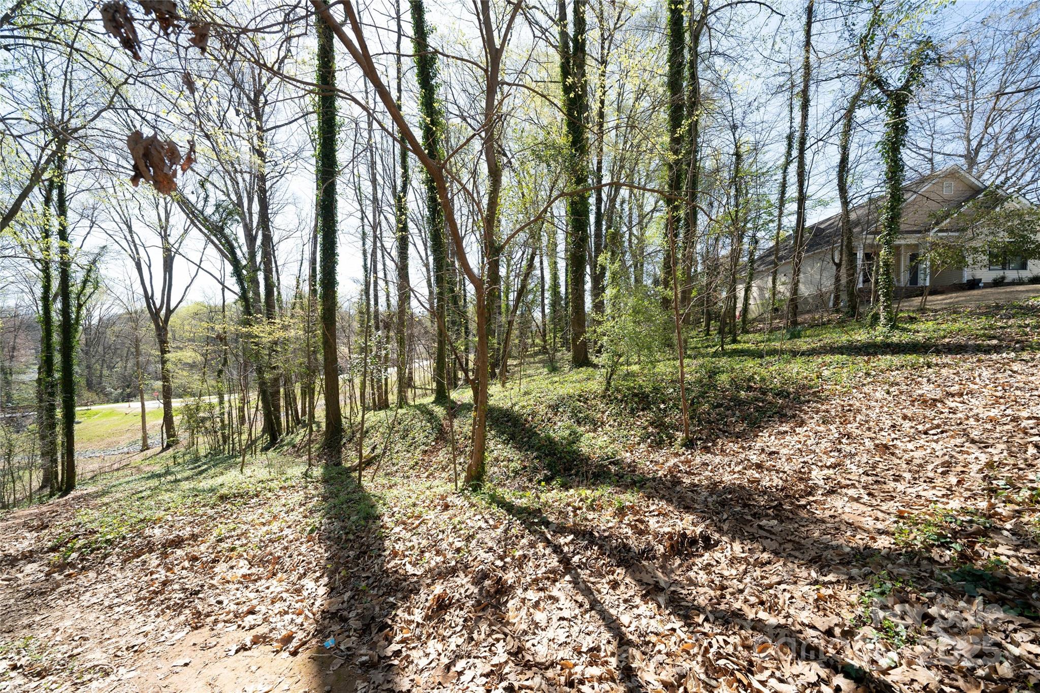 534 Pierson Drive Charlotte NC 28205