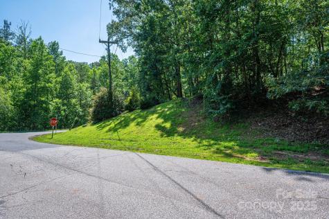 Lot #6 Cleghorn Mill Road Rutherfordton NC 28139