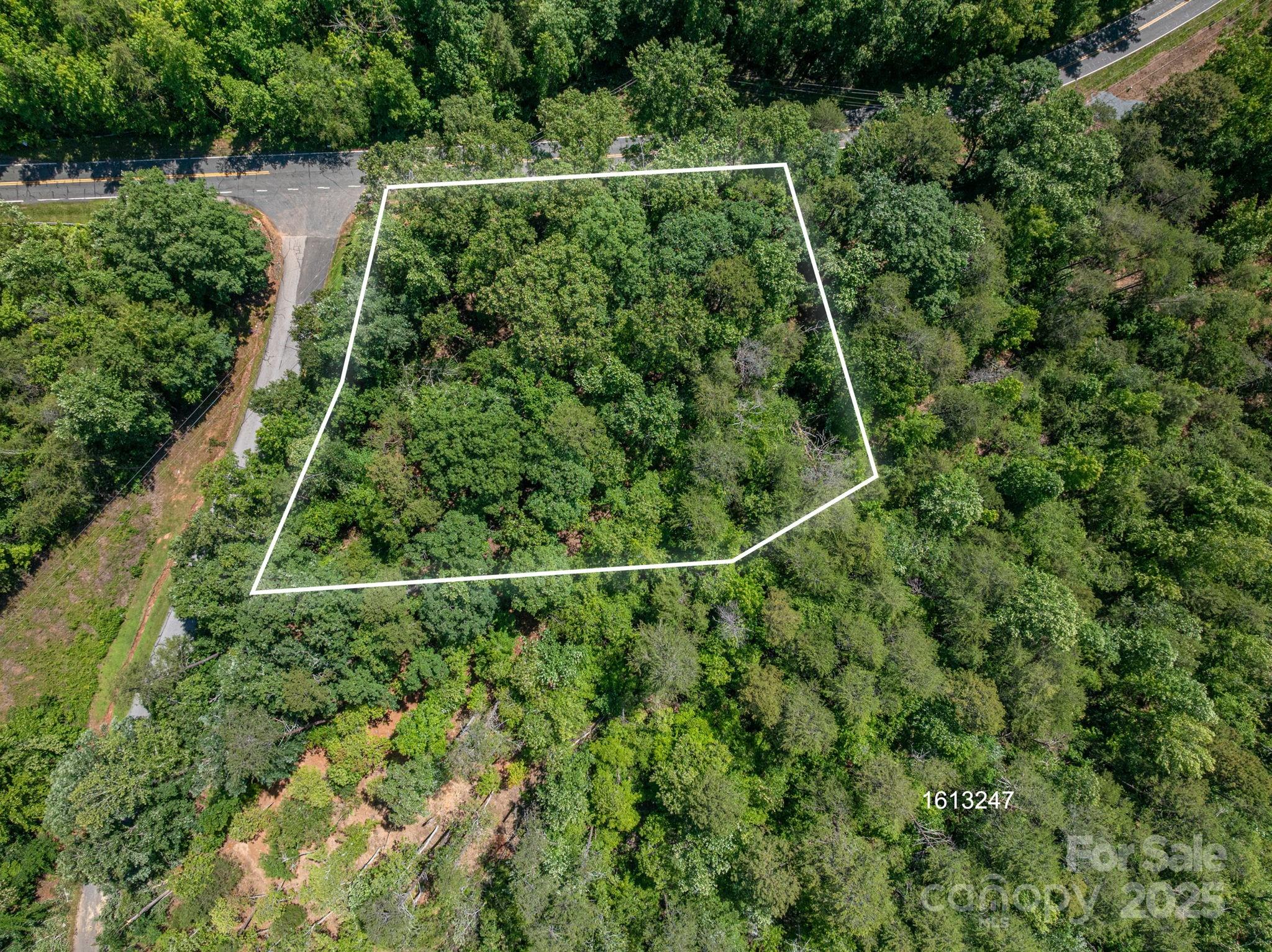 Lot #6 Cleghorn Mill Road Rutherfordton NC 28139