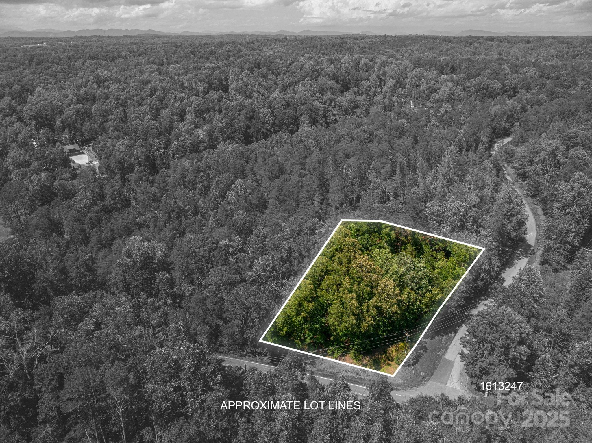 Lot #6 Cleghorn Mill Road Rutherfordton NC 28139