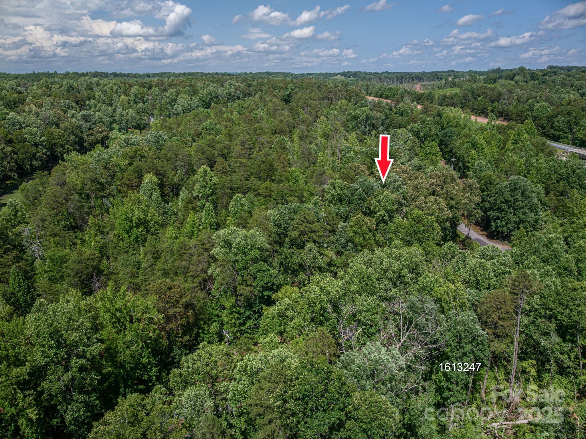 Lot #6 Cleghorn Mill Road Rutherfordton NC 28139