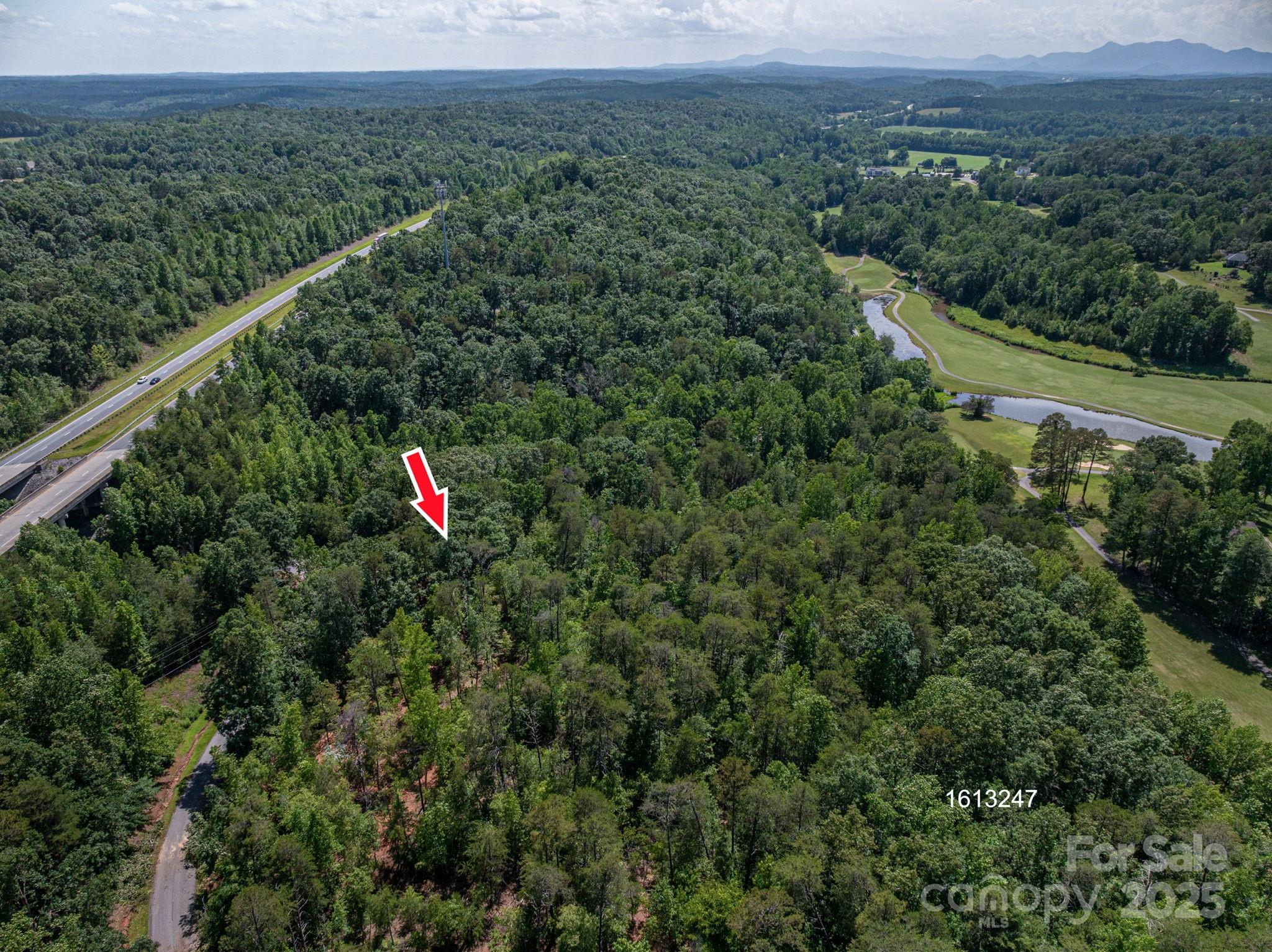 Lot #6 Cleghorn Mill Road Rutherfordton NC 28139