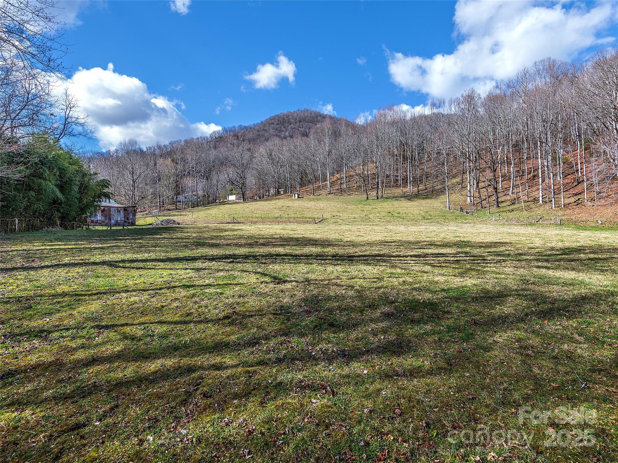 Tract 3 & 4 Badd Lane Maggie Valley NC 28751