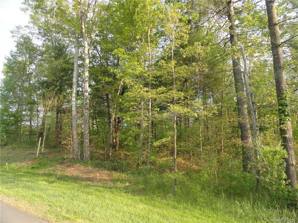 18 Versailles Lane Asheville NC 28804