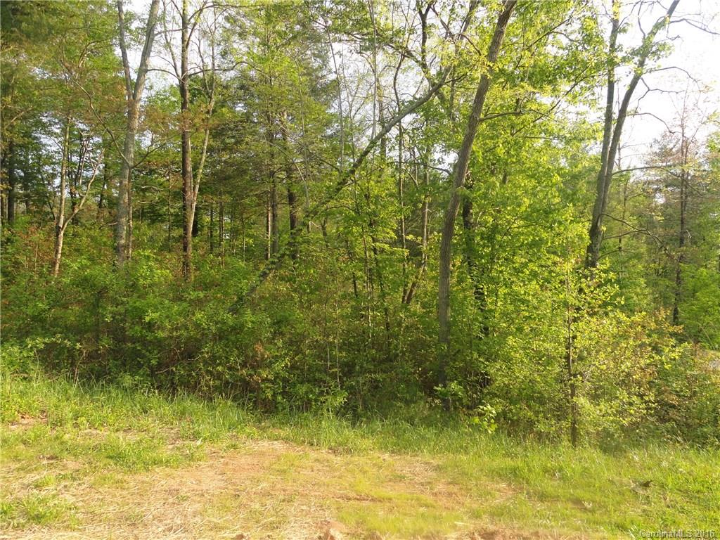 18 Versailles Lane Asheville NC 28804