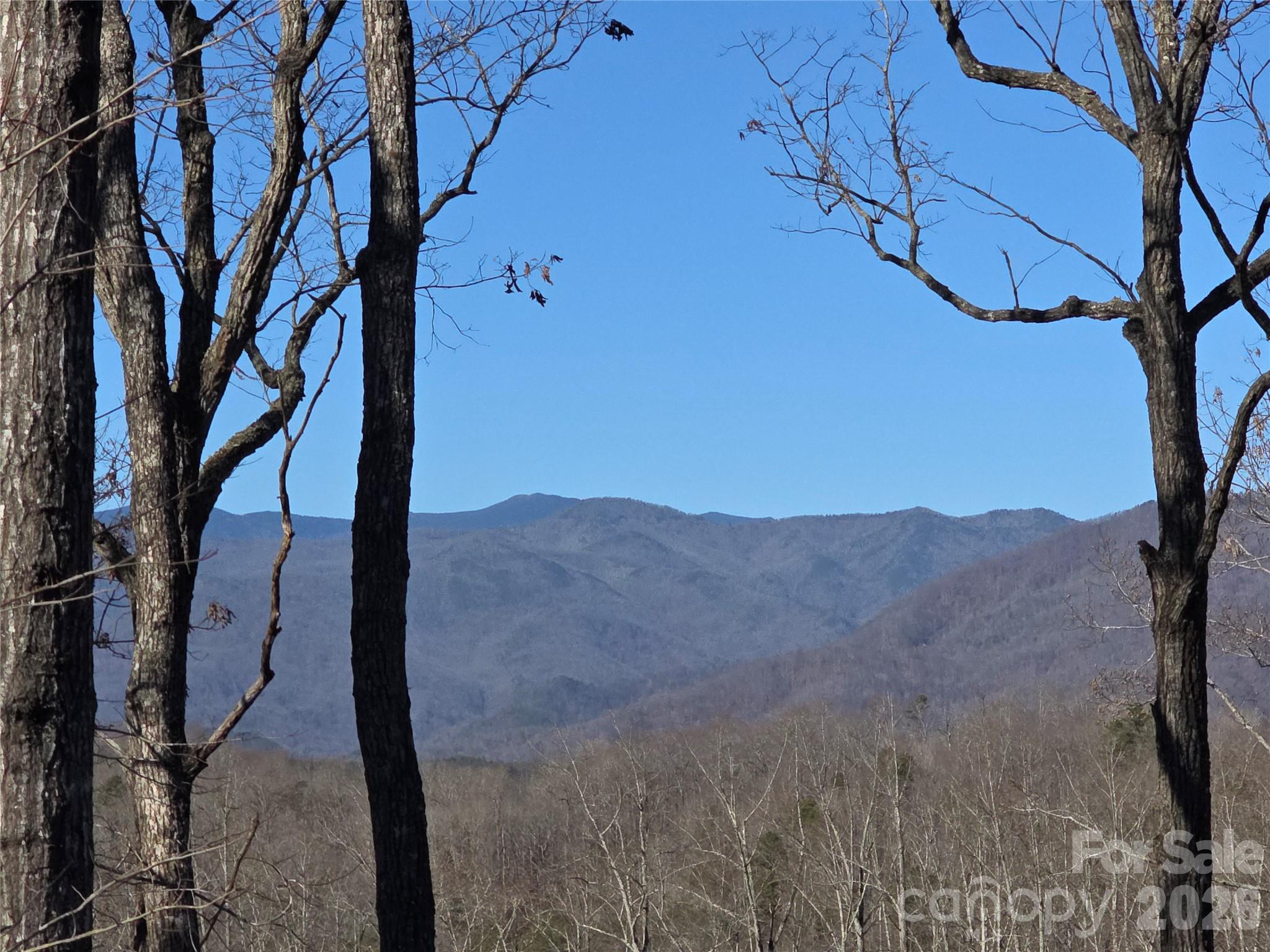 Lot 2 Warren Ridge Road Old Fort NC 28762