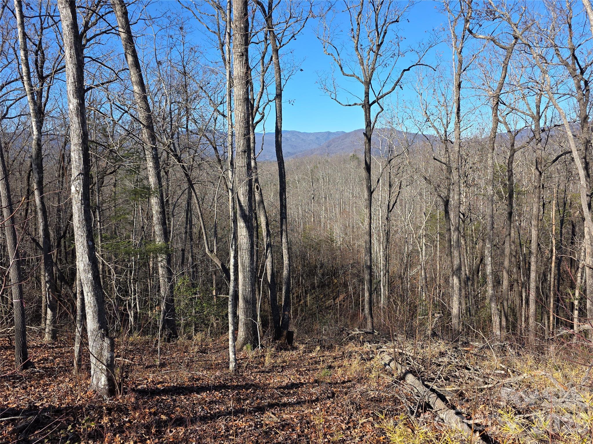 Lot 2 Warren Ridge Road Old Fort NC 28762