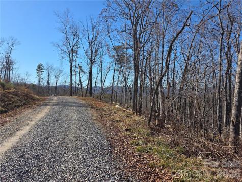 Lot 2 Warren Ridge Road Old Fort NC 28762