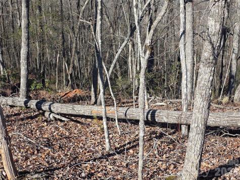 Lot 2 Warren Ridge Road Old Fort NC 28762