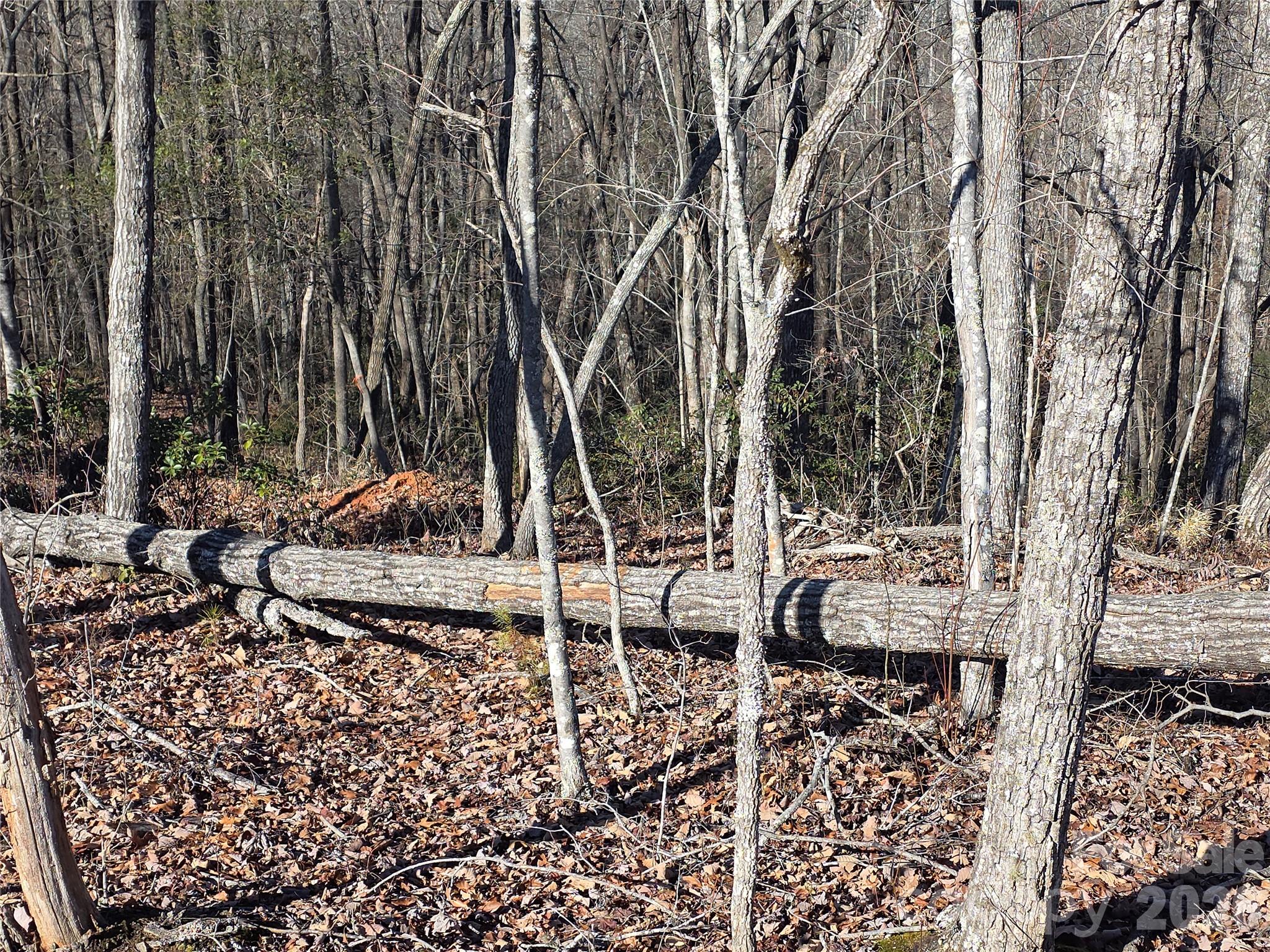 Lot 2 Warren Ridge Road Old Fort NC 28762