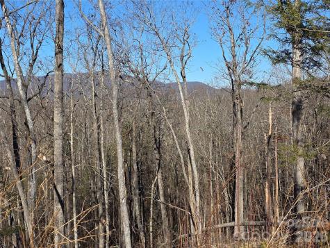 Lot 2 Warren Ridge Road Old Fort NC 28762