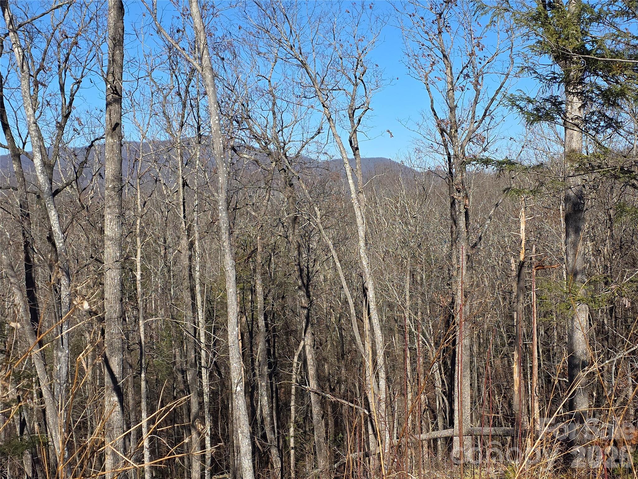 Lot 2 Warren Ridge Road Old Fort NC 28762