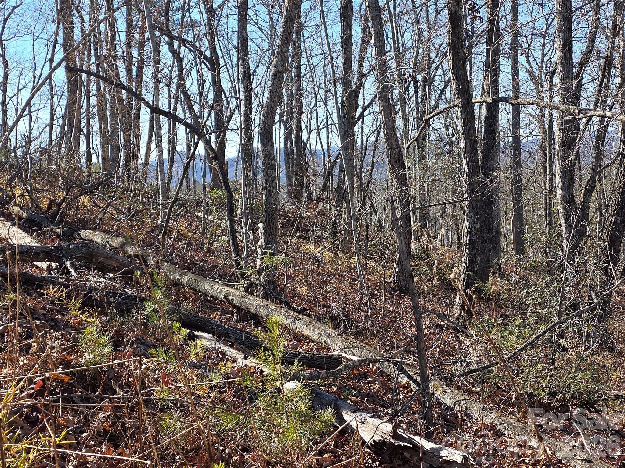 Lot 2 Warren Ridge Road Old Fort NC 28762