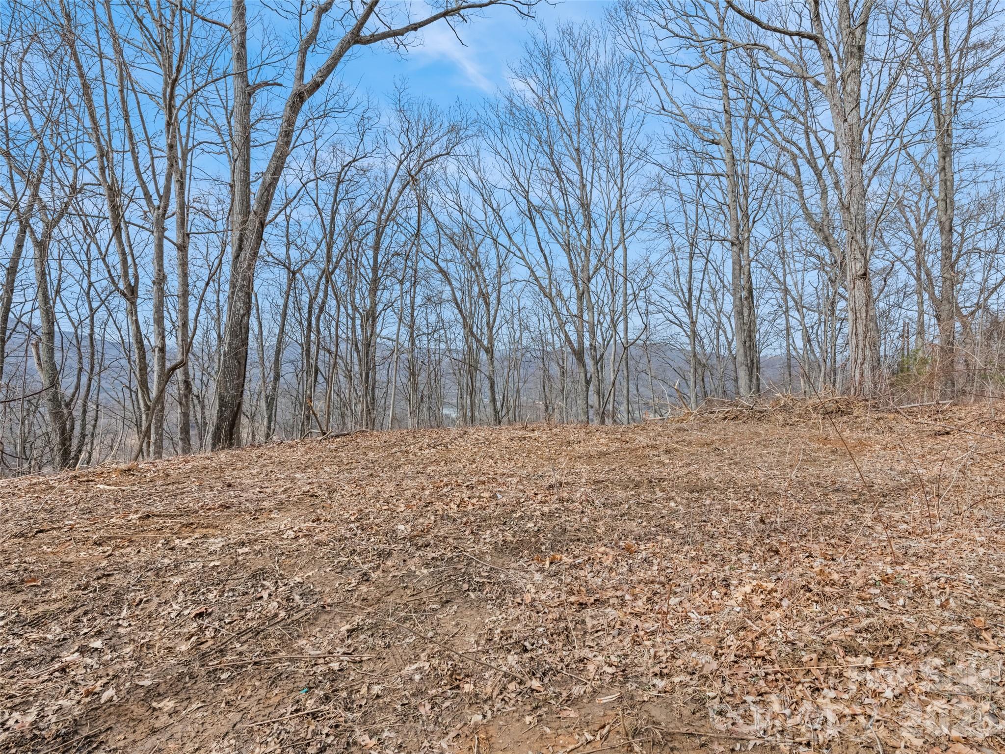 Lot #3 Viewpoint Mountain Waynesville NC 28786