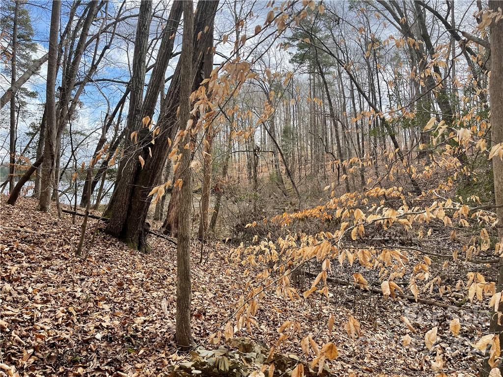 Lot 91 Tidewater Court Norwood NC 28128