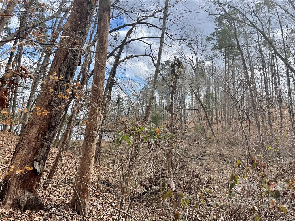 Lot 91 Tidewater Court Norwood NC 28128