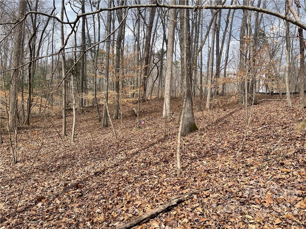 Lot 91 Tidewater Court Norwood NC 28128
