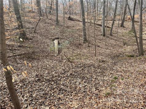 Lot 91 Tidewater Court Norwood NC 28128