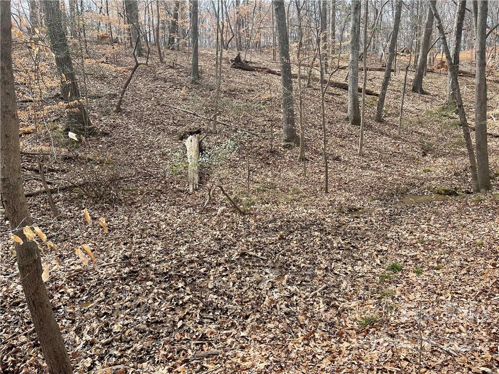 Lot 91 Tidewater Court Norwood NC 28128
