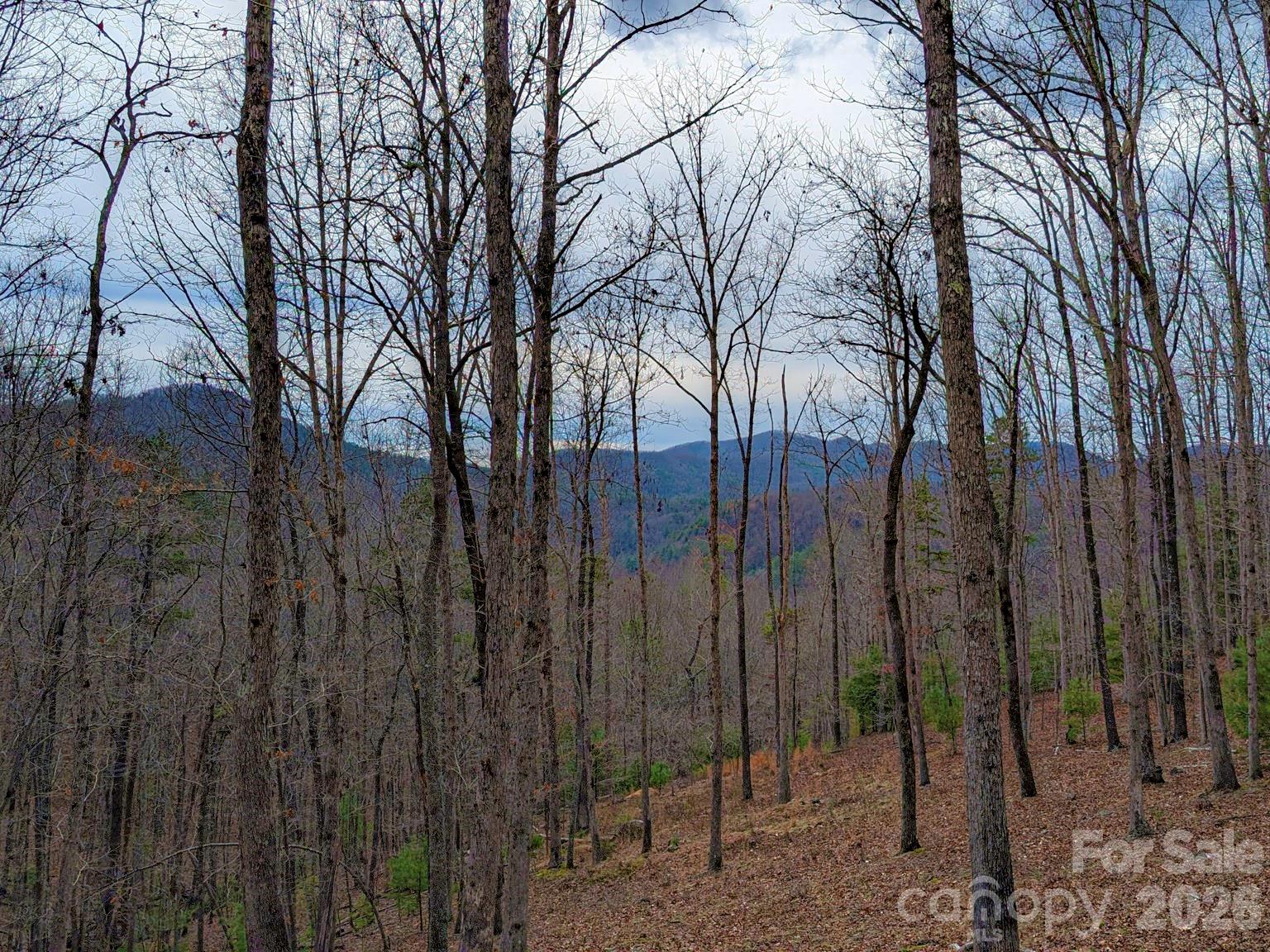 51 Wild Turkey Loop Marshall NC 28753