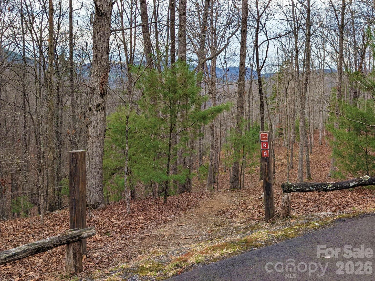51 Wild Turkey Loop Marshall NC 28753