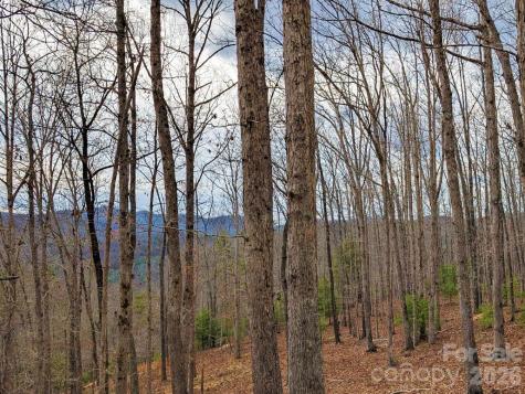 51 Wild Turkey Loop Marshall NC 28753