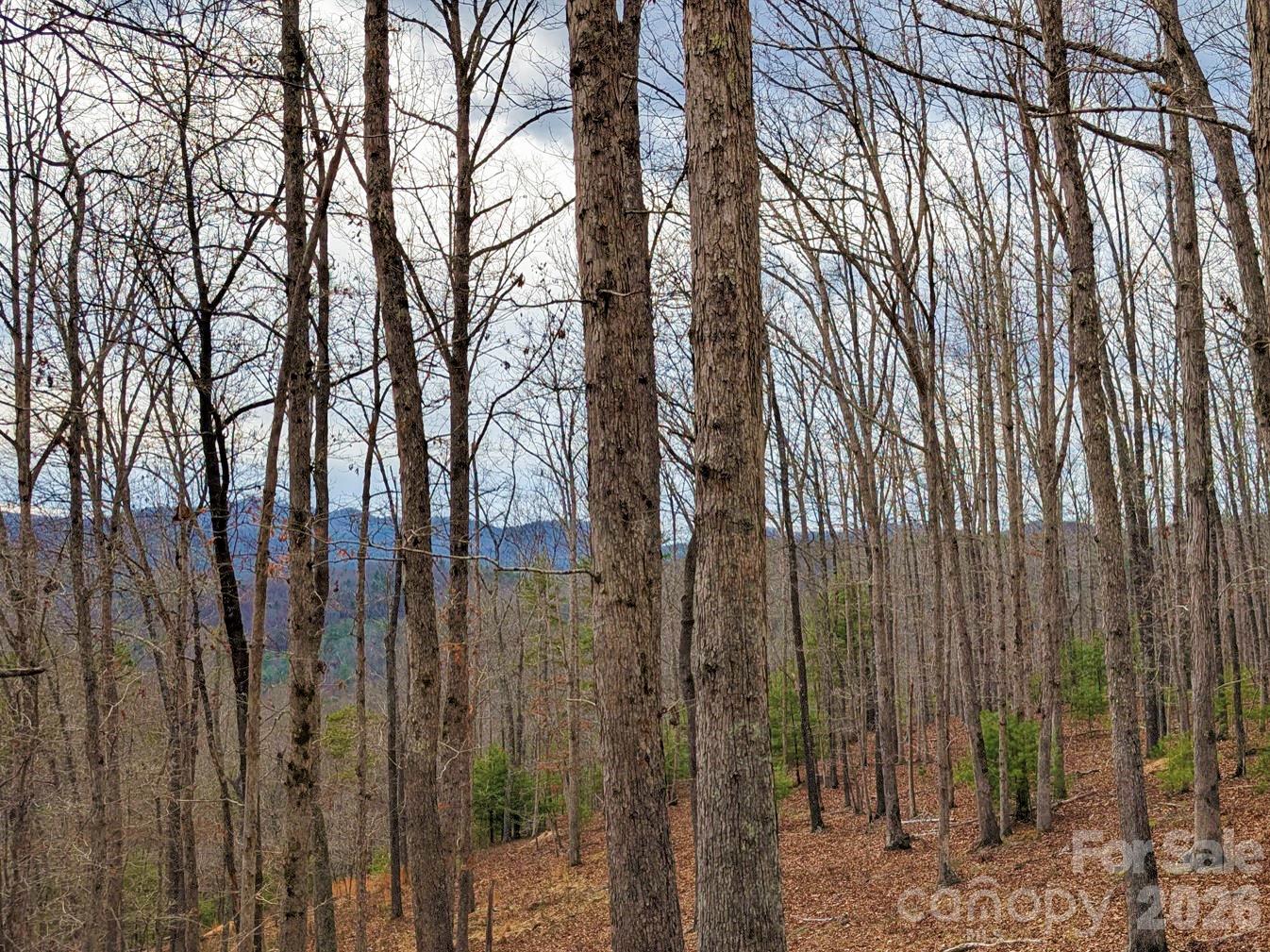 51 Wild Turkey Loop Marshall NC 28753