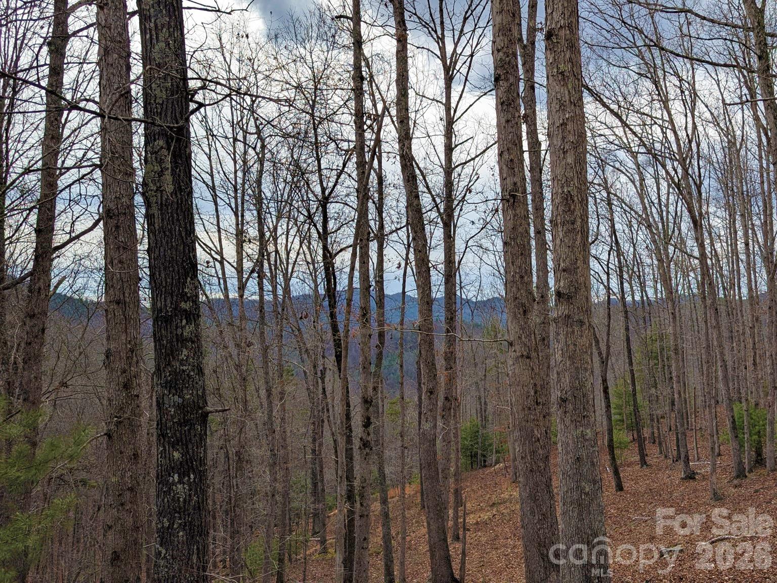 51 Wild Turkey Loop Marshall NC 28753