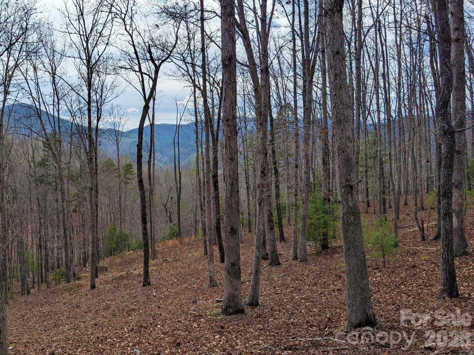 51 Wild Turkey Loop Marshall NC 28753