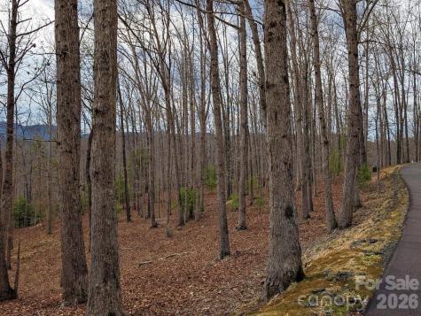 51 Wild Turkey Loop Marshall NC 28753