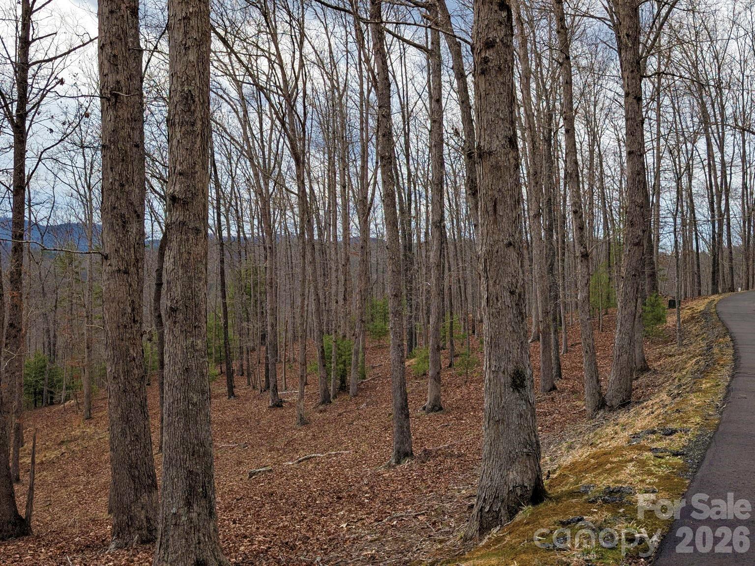51 Wild Turkey Loop Marshall NC 28753