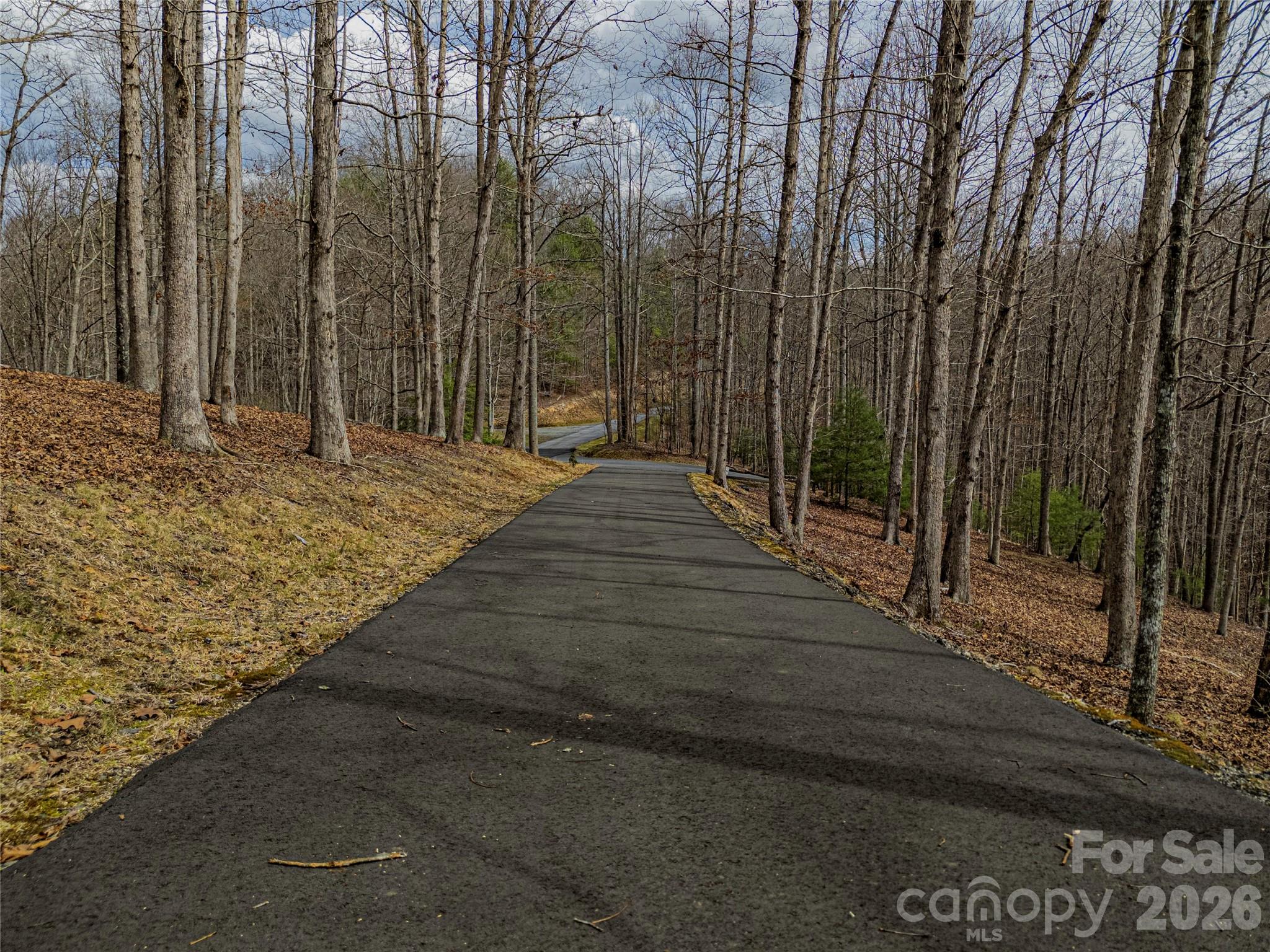 51 Wild Turkey Loop Marshall NC 28753