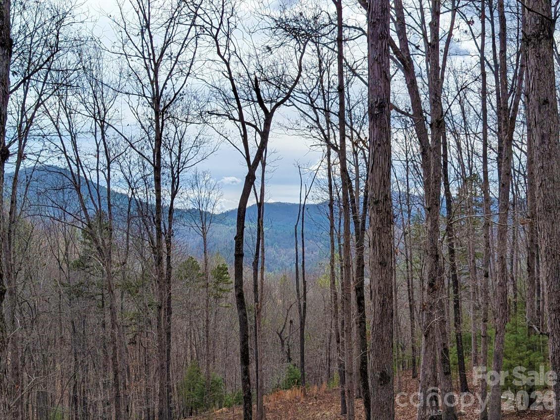 51 Wild Turkey Loop Marshall NC 28753