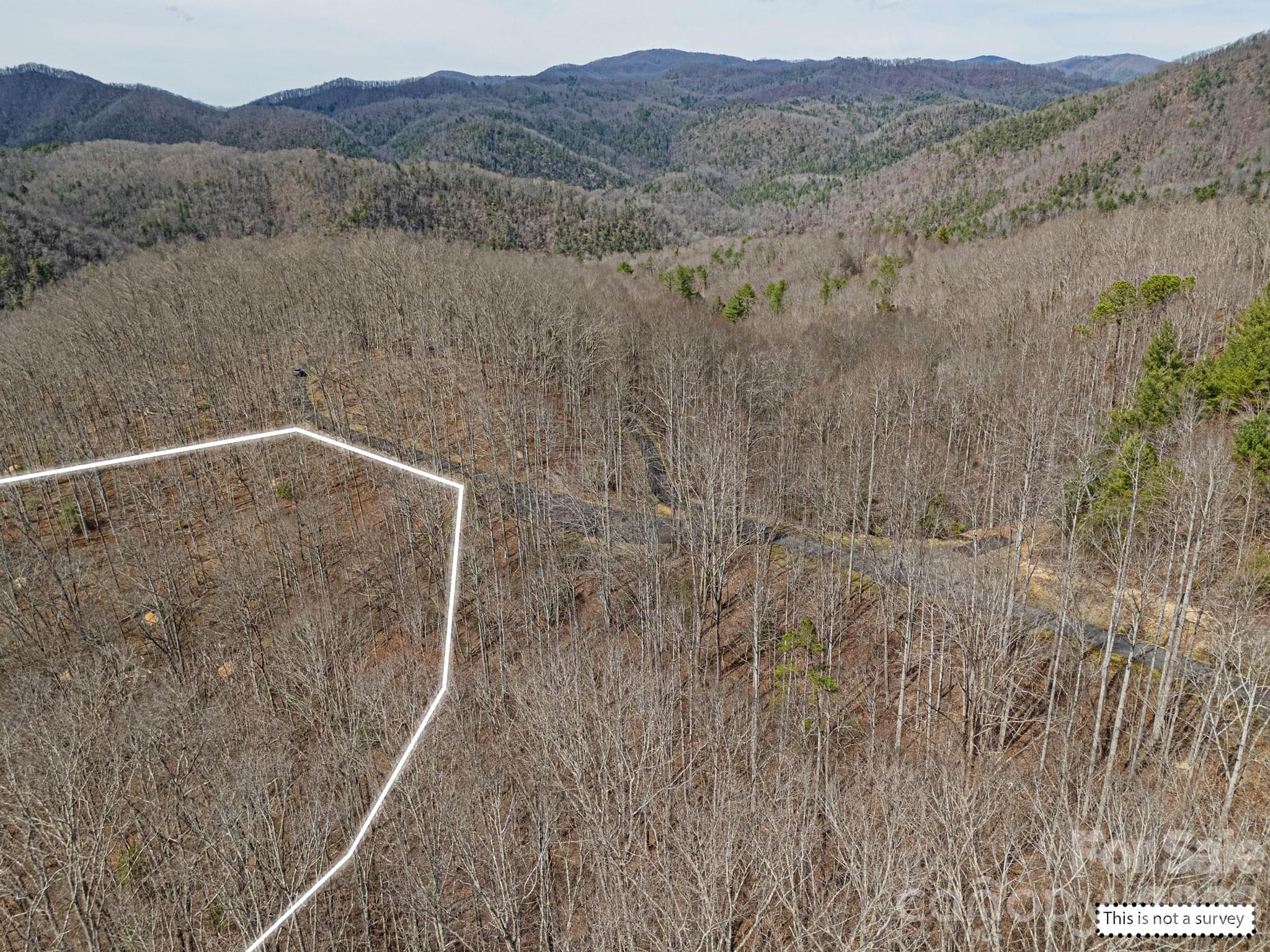 51 Wild Turkey Loop Marshall NC 28753