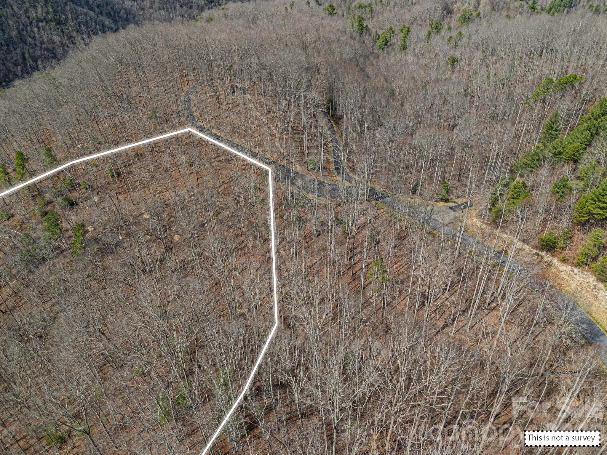 51 Wild Turkey Loop Marshall NC 28753