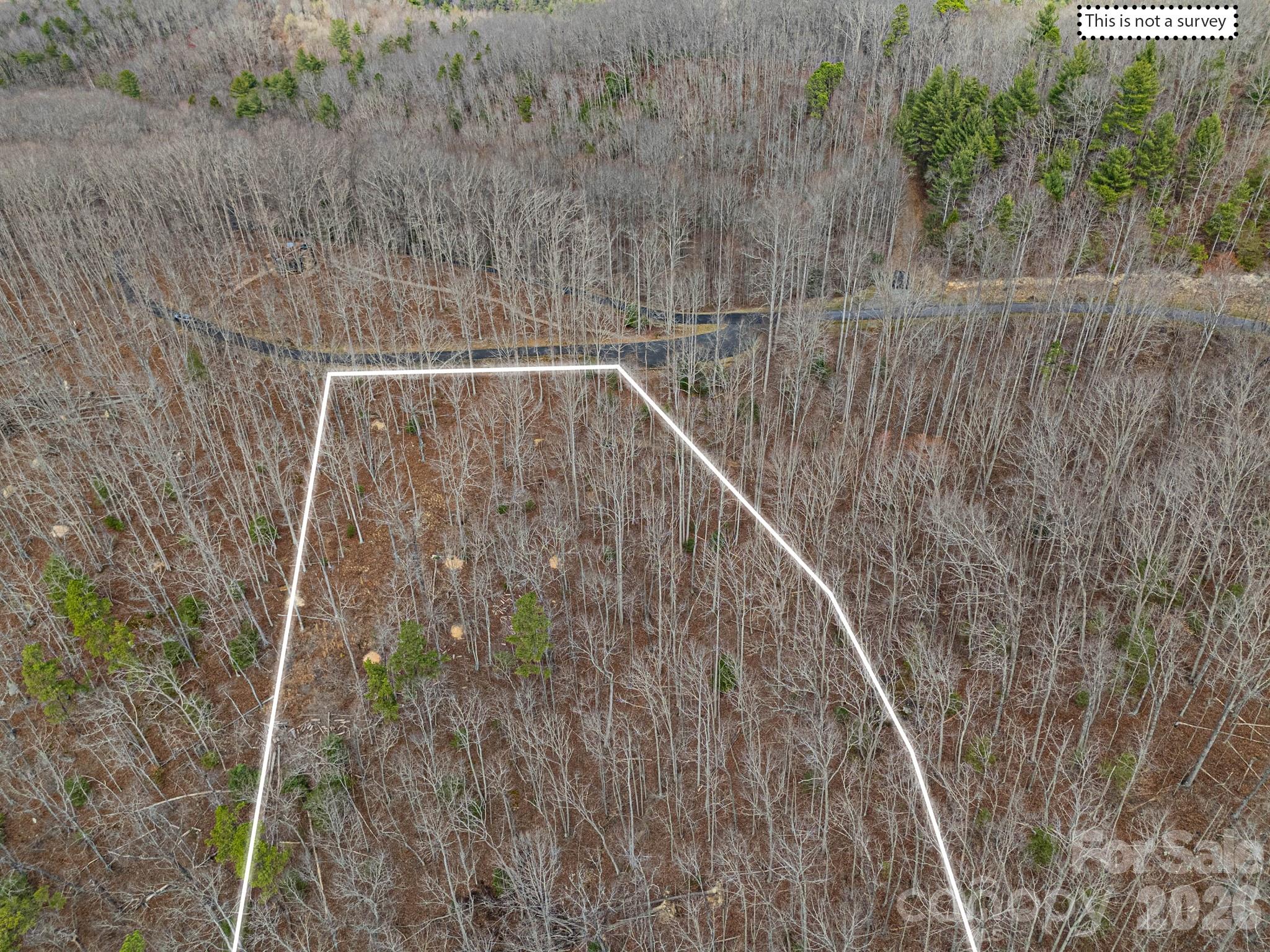 51 Wild Turkey Loop Marshall NC 28753