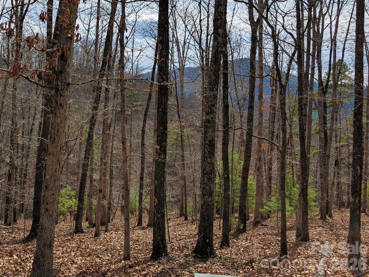 51 Wild Turkey Loop Marshall NC 28753