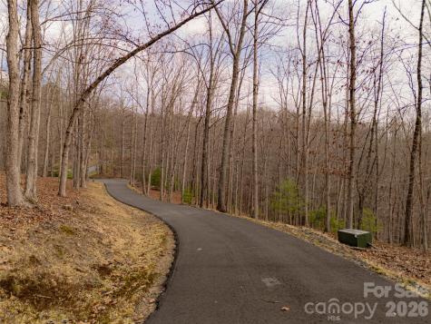 51 Wild Turkey Loop Marshall NC 28753
