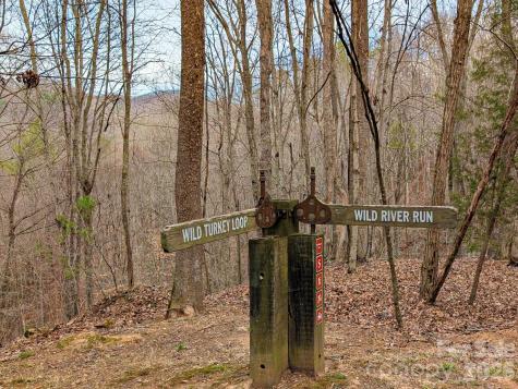 51 Wild Turkey Loop Marshall NC 28753
