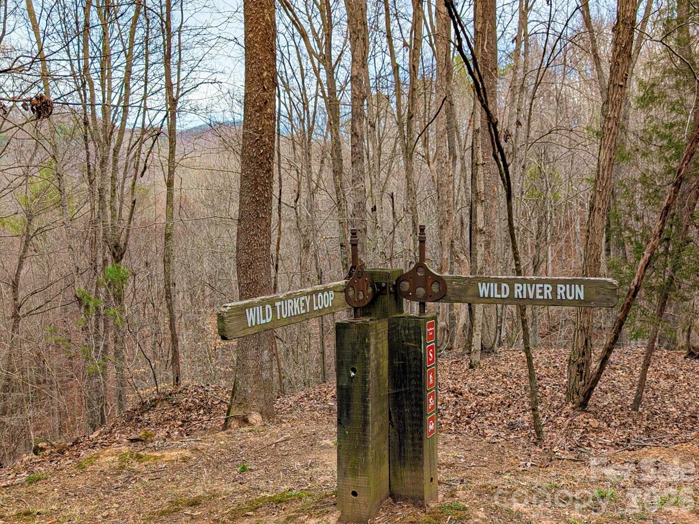 51 Wild Turkey Loop Marshall NC 28753