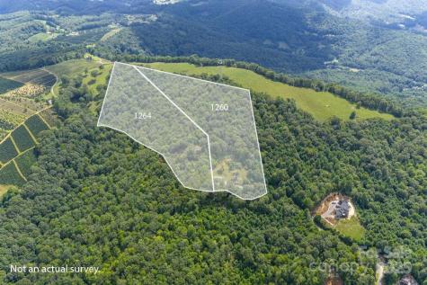 1260 Mountain Laurel Parkway Newland NC 28657