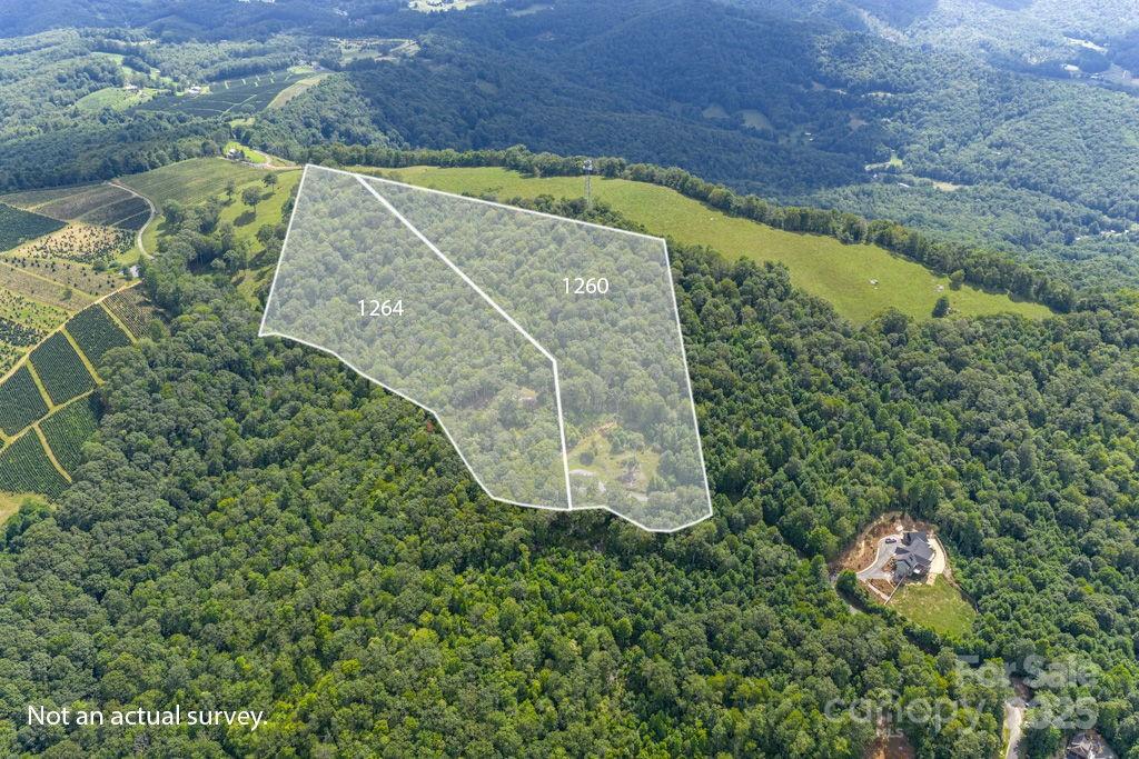 1260 Mountain Laurel Parkway Newland NC 28657