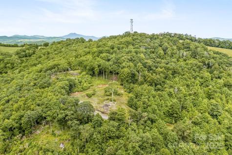 1260 Mountain Laurel Parkway Newland NC 28657