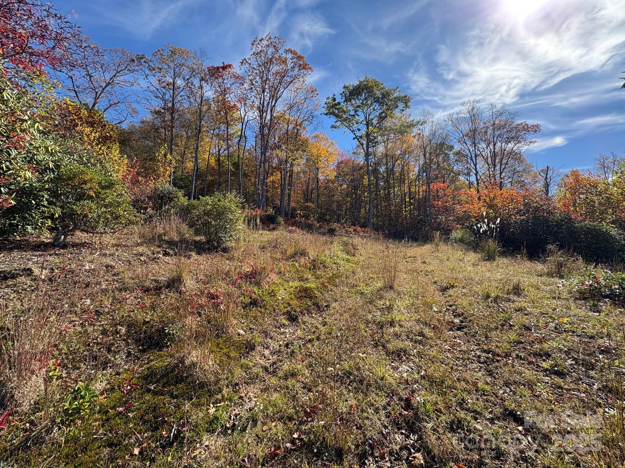 1260 Mountain Laurel Parkway Newland NC 28657
